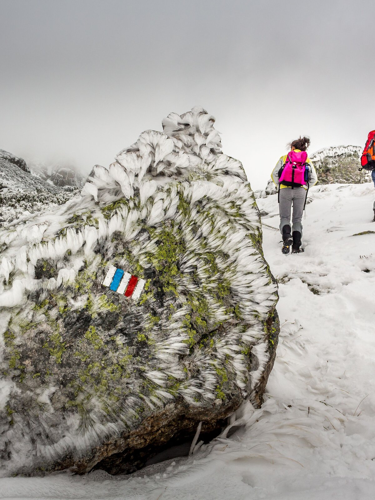 Trekkers following a marked winter trail