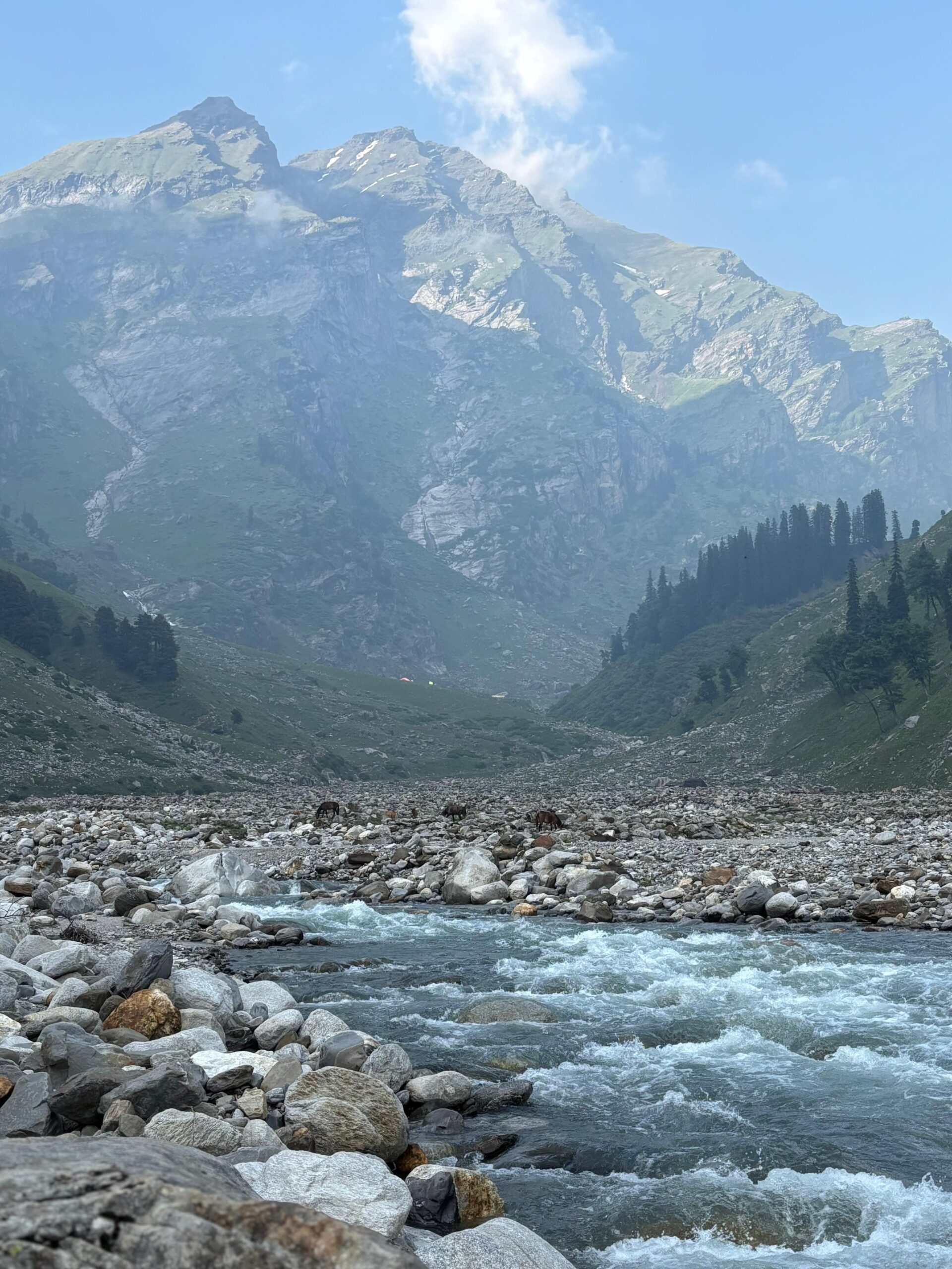 Green alpine valley on the Hampta Pass trek route