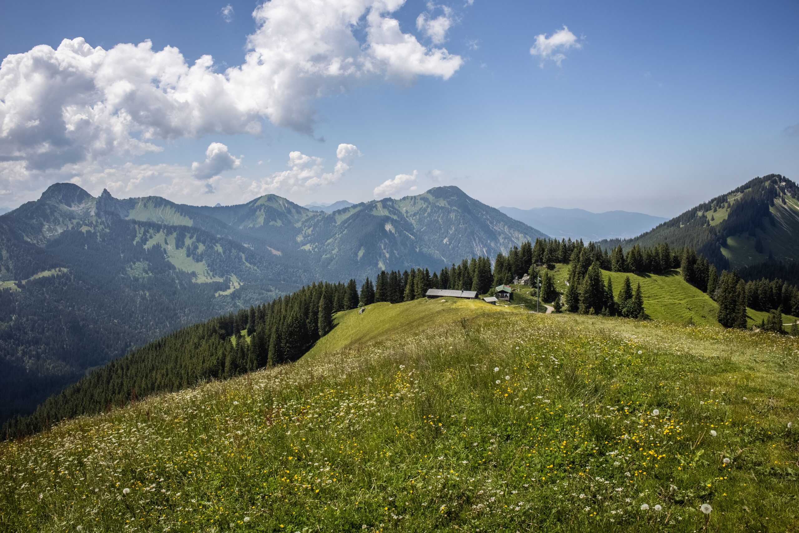 Green alpine meadow on the Kullu side of the Hampta Pass trail