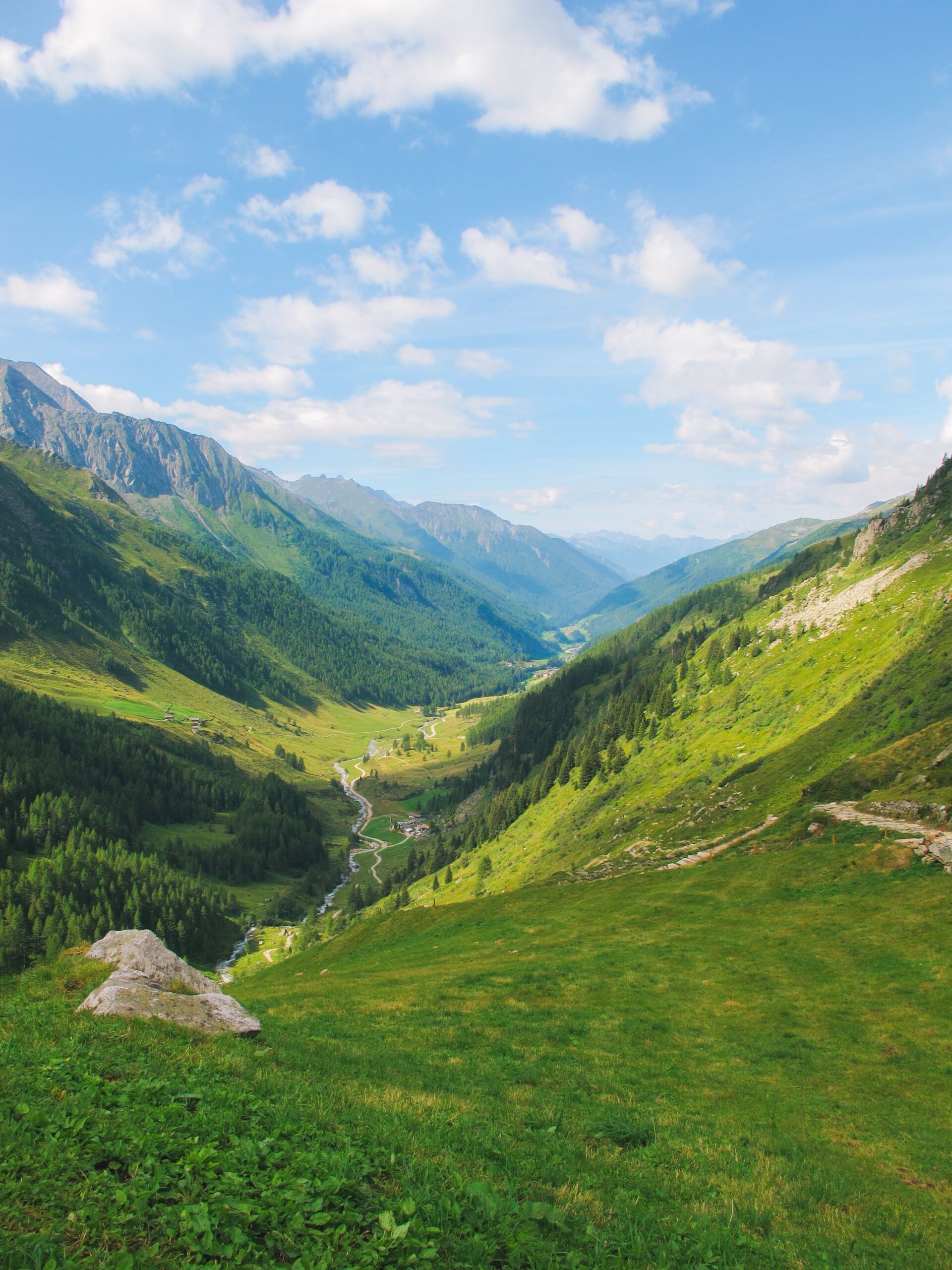 Wide view of the flower valley framed by grassy hills and mountains