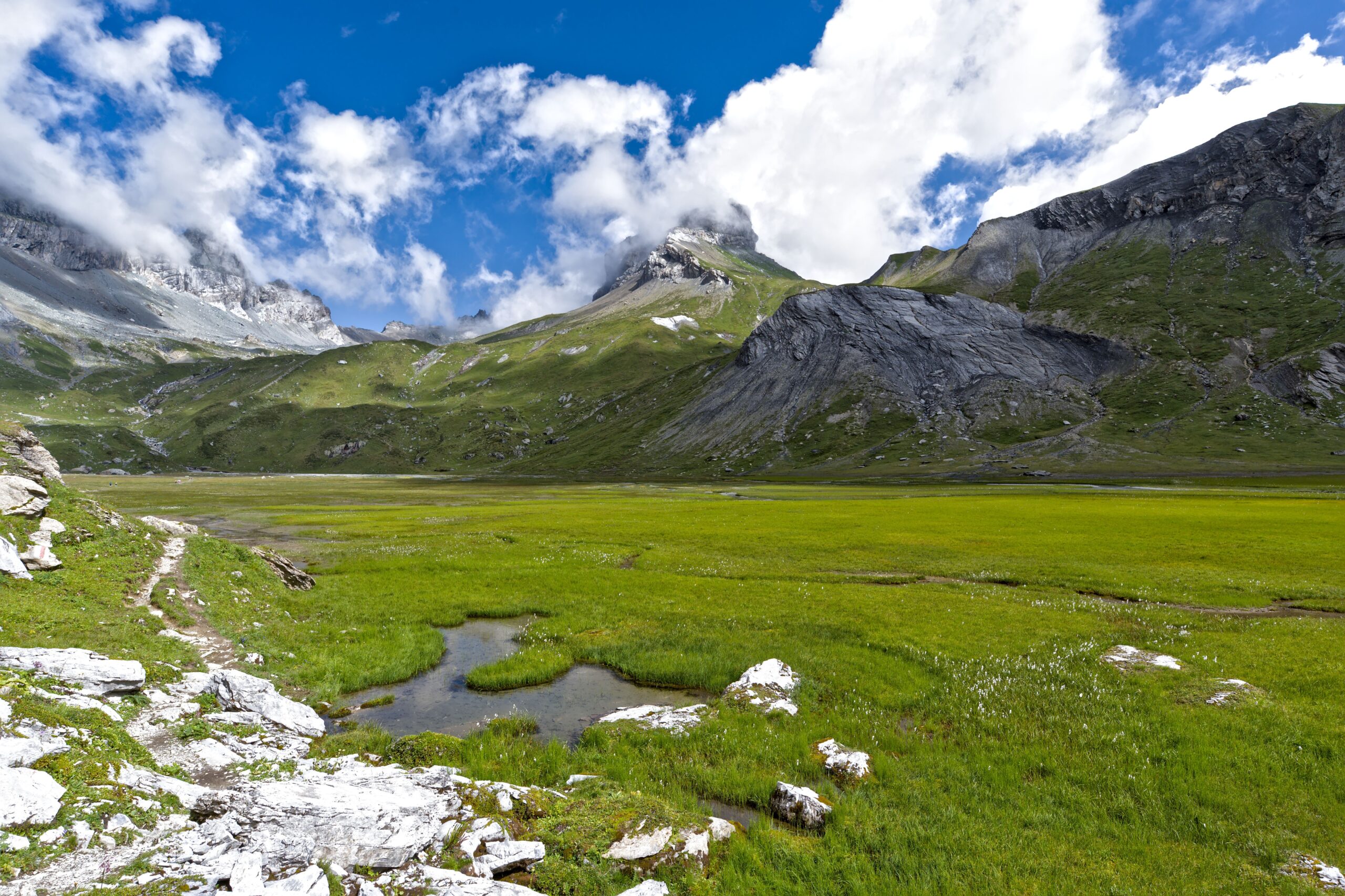 Snow-capped Himalayan peaks visible from Dayara Bugyal meadow